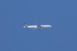 N78017